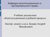 Правовое государство и конституционный судебный контроль: теория и история становления в России