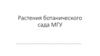 Растения ботанического сада МГУ