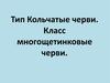 Тип Кольчатые черви. Класс многощетинковые черви
