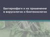 Бактериофаги и их применение в вирусологии и биотехнологии
