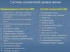Системы показателей уровня жизни