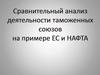 Сравнительный анализ деятельности таможенных союзов