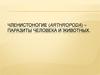 Членистоногие (Arthropoda) – паразиты человека и животных