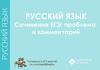 Сочинение ЕГЭ: проблема и комментарий
