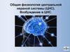 Общая физиология центральной нервной системы (ЦНС). Возбуждение в ЦНС