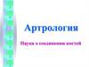Артрология. Наука о соединении костей