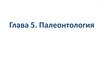 Палеонтология. Схема соподчиненности основных систематических единиц. Царство животные простейшие (одноклеточные)