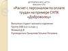 Расчет с персоналом по оплате труда на примере СХПК «Доброволец»