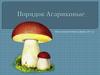 Порядок Агариковые