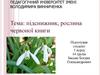 Підсніжник - рослина Червоної книги