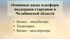 Основные виды платформ поддержки стартапов в Челябинской области