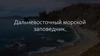 Дальневосточный морской заповедник