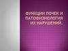 Функции почек и патофизиология их нарушений