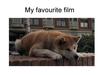 My favourite film "Hachi: A Dogs Tale"