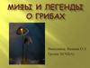 Мифы и легенды о грибах