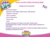 Новая линейка Little Live Bizzy Bubs