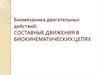 Биомеханика двигательных действий: составные движения в биокинематических цепях