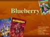 Blueberry. Bande Dessinée Blueberry