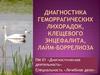 Диагностика геморрагических лихорадок, клещевого энцефалита, лайм-боррелиоза