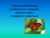 Адаптация организмов к окружающей среде