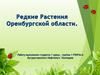 Редкие растения Оренбургской области