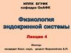Физиология эндокринной системы