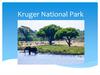 Kruger National Park