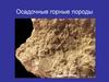 Осадочные горные породы
