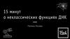 15 минут о неклассических функциях ДНК