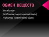 Обмен веществ. Метаболизм Катаболизм (энергетический обмен). Анаболизм (пластический обмен)