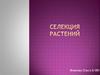 Селекция растений