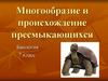 Многообразие и происхождение пресмыкающихся