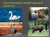 Растительный и животный мир Беларуси