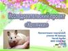 Исследовательский проект «Хомячки»