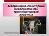 Ветеринарно-санитарные мероприятия при транспортировке животных