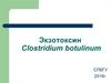 Экзотоксин Clostridium botulinum
