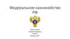 Федеральное казначейство РФ