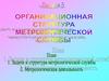 Организационная cтруктура метрологической службы. (Лекция 5)