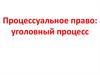 Процессуальное право: уголовный процесс