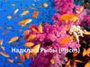 Надкласс Рыбы (Pisces)