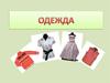 Одежда (карточки)