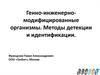 Генно-инженерно-модифицированные организмы. Методы детекции и идентификации