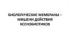 Биологические мембраны – мишени действия ксенобиотиков