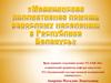Медицинская паллиативная помощь взрослому населению в Республике Беларусь