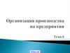 Организация производства на предприятии