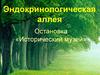 Эндокринологическая аллея. Остановка «Исторический музей»