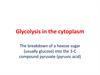 Glycolysis in the cytoplasm