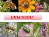 Опыление. Виды опыления