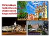 Организации профессионального образования Амурской  области