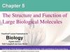 The Structure and Function of Large Biological Molecules